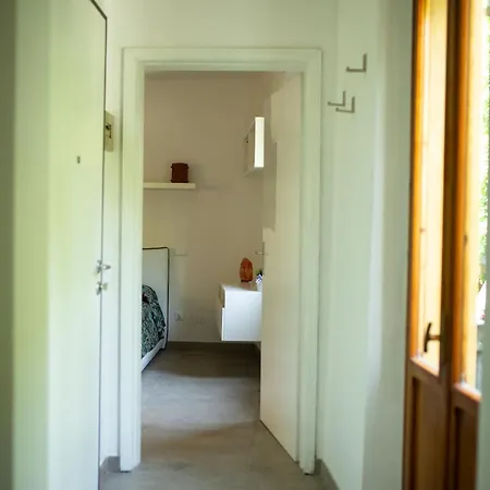 Fontanelli *